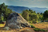 Huge boulders and California Oaks