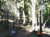 This gently sloping lot with peek-a-boo views of mountain ridges is at 6000 ft elevation in Pine Cove.
