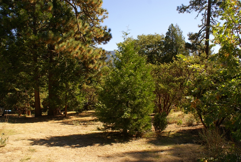 Vacant Land Parcel & Raw Land For Sale In Idyllwild, CA